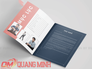 mẫu brochure